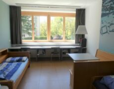 Zimmer-4-1-300x300