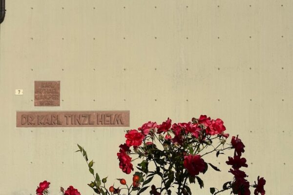 Wand Karl Tinzl Schrift mit Rosen