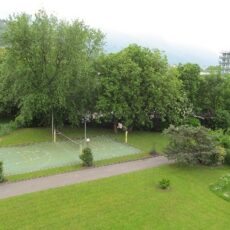 Bild10 Luftpersperktive Wiese