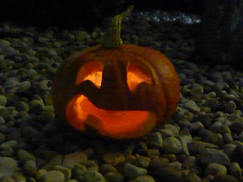 Bild2 Kürbis Herbst Feuerschale